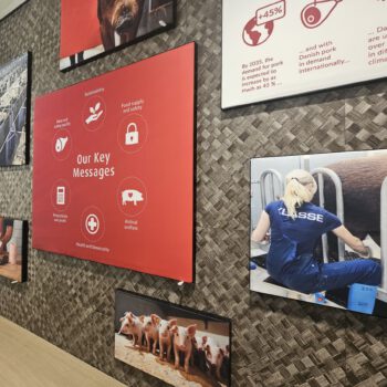 Akoestische panelen in verschillende diktes en maten leverbaar