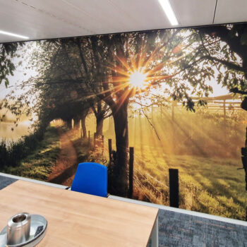 Akoestische wandoplossingen_DLS