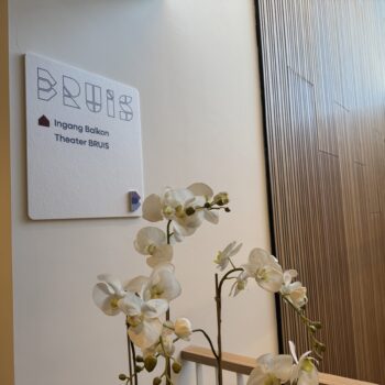 BRUIS Gemeente Bladel 5