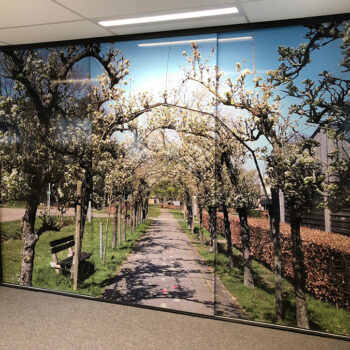 Muurprints bij dementie