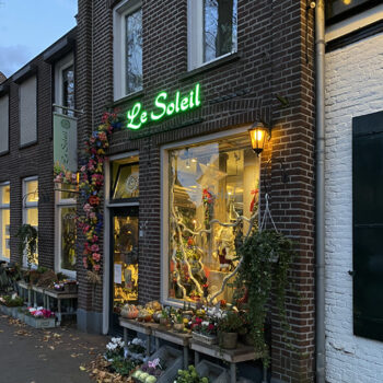 Lichtreclame - Le Soleil