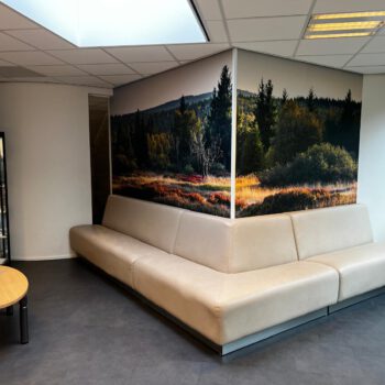 Muurprints - GGzE (1)