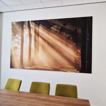 akoestiek verbeteren op kantoor_DLS